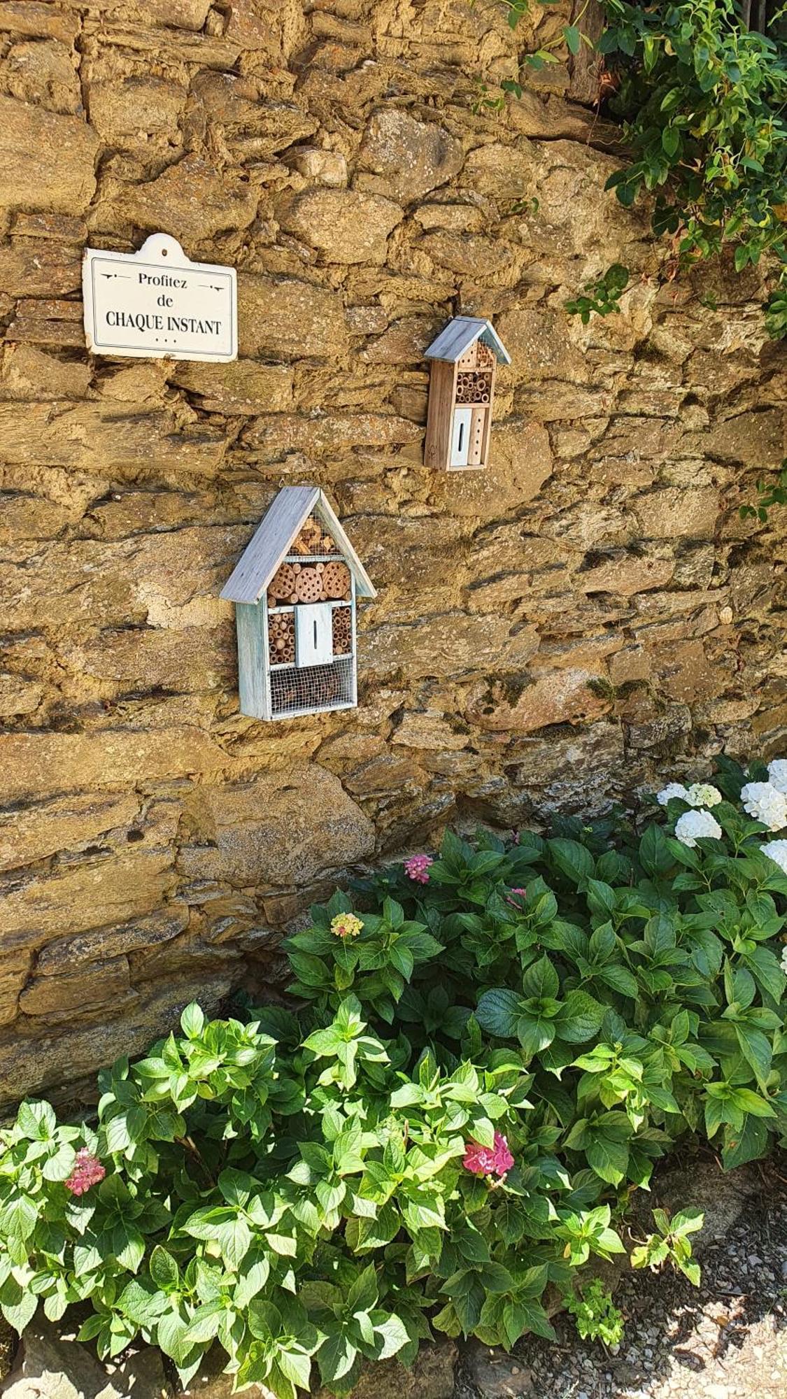 La Ferme Des Andes - Gite L'Atelier Quins Екстериор снимка