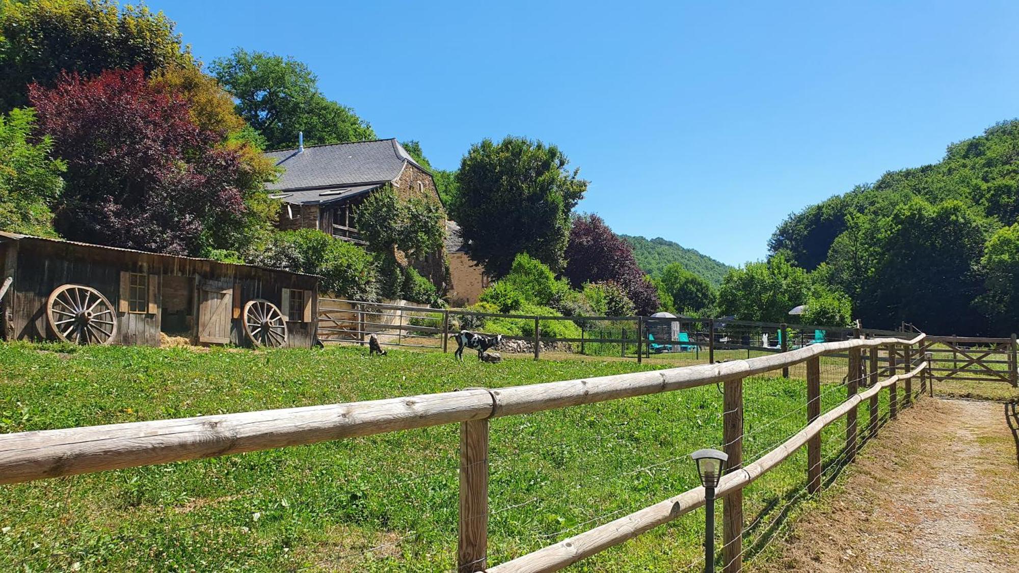 La Ferme Des Andes - Gite L'Atelier Quins Екстериор снимка