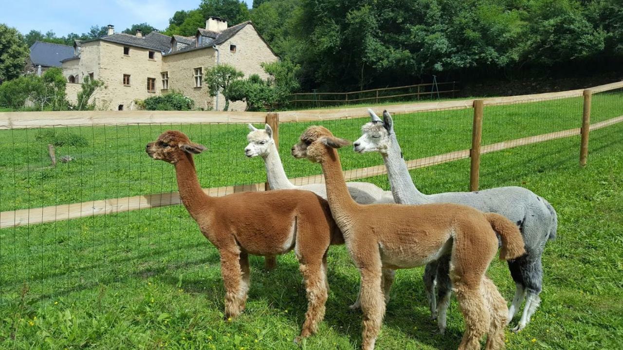 La Ferme Des Andes - Gite L'Atelier Quins Екстериор снимка
