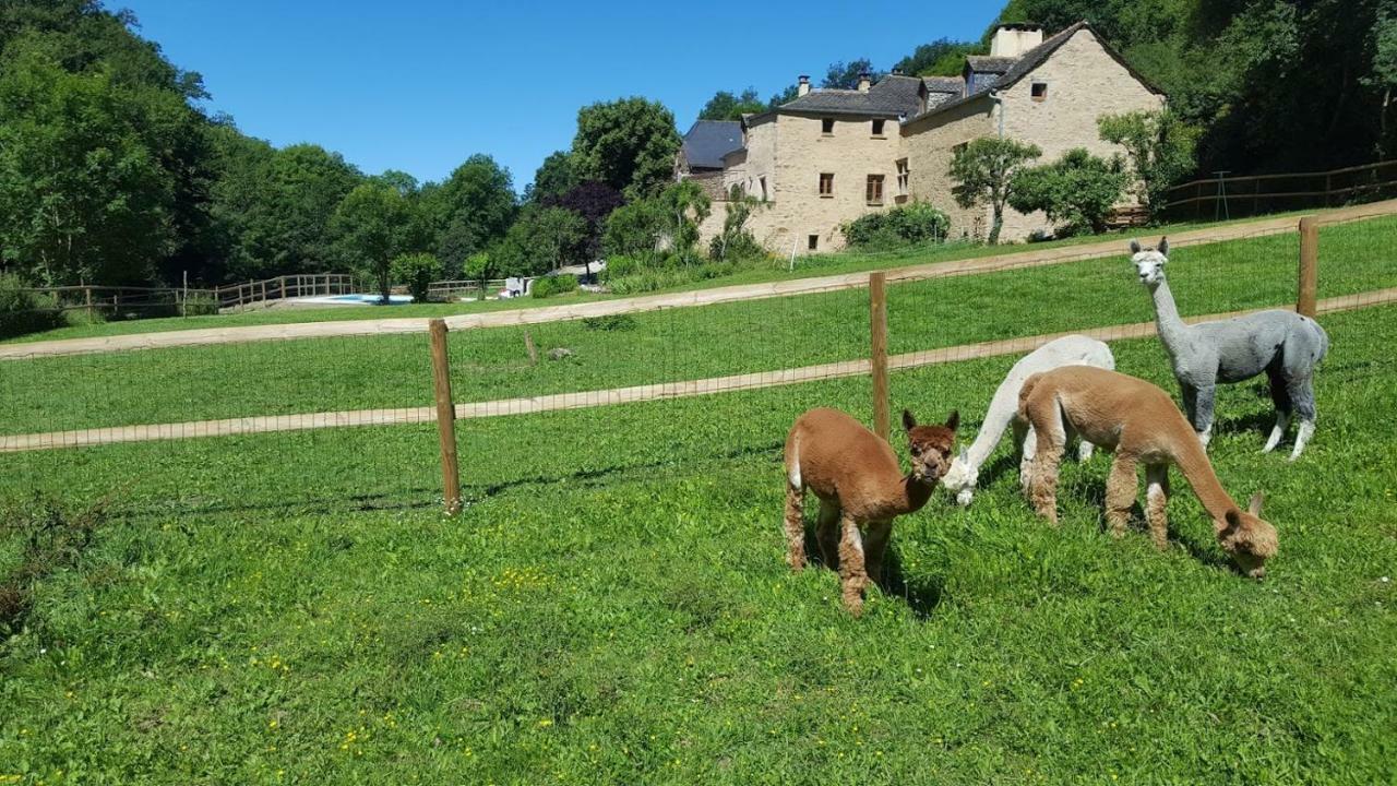 La Ferme Des Andes - Gite L'Atelier Quins Екстериор снимка