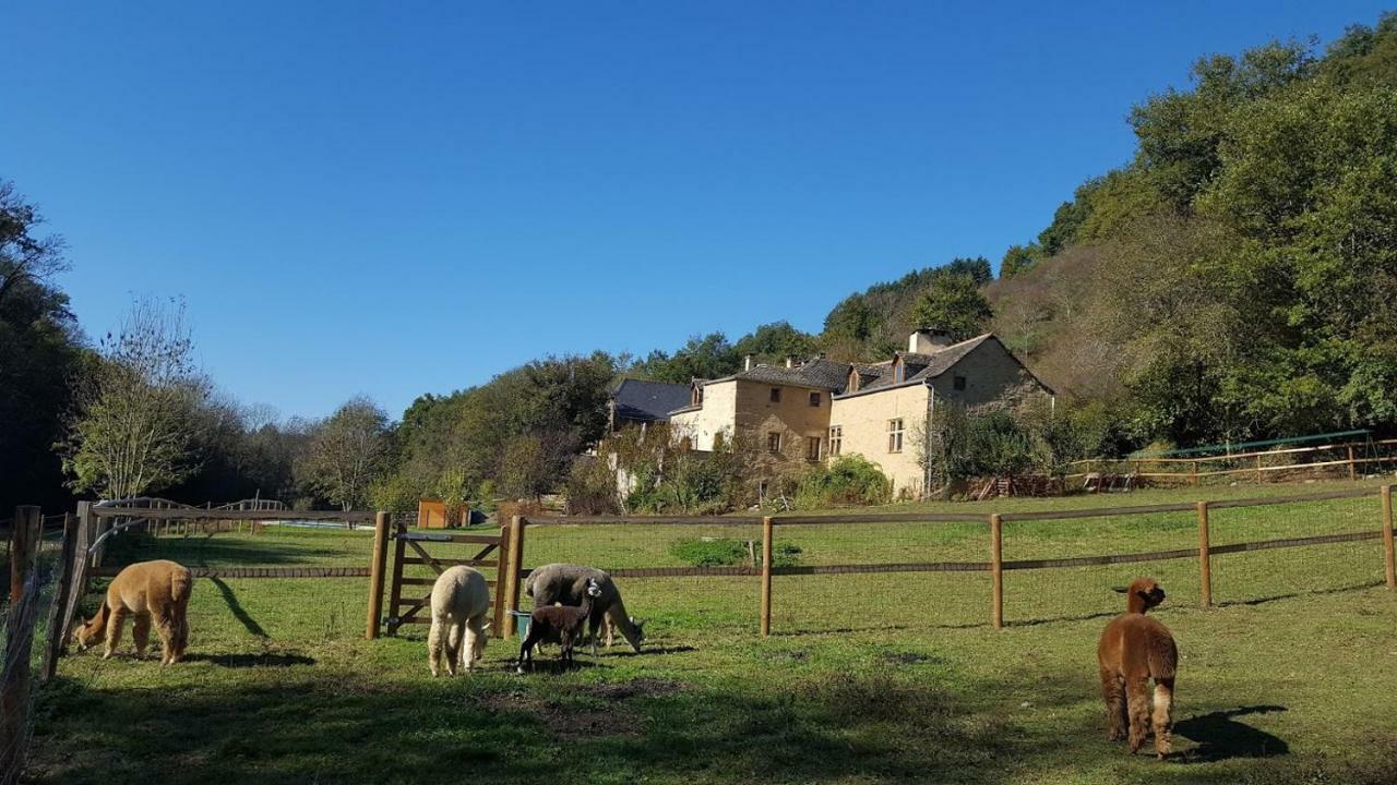 La Ferme Des Andes - Gite L'Atelier Quins Екстериор снимка